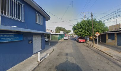 Arellanes Vidriera