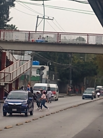 Negocio Mexibus L2 Vidriera