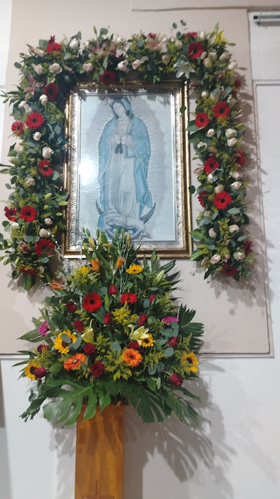 Negocio Vidri Alum