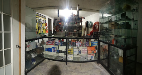 Negocio Vidriería Palacíos