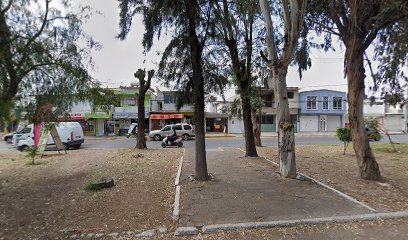 Vidrieria Villa De Las Flores