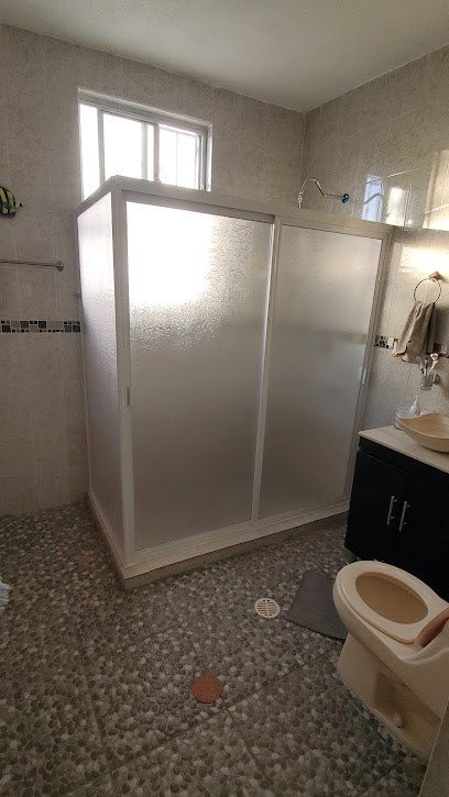 Negocio Vidrio Y Aluminio Para La Construcción, Romita.