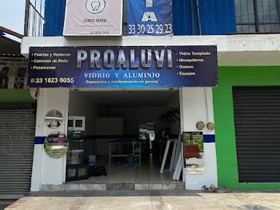 Negocio Vidrio Y Aluminio Proaluvi
