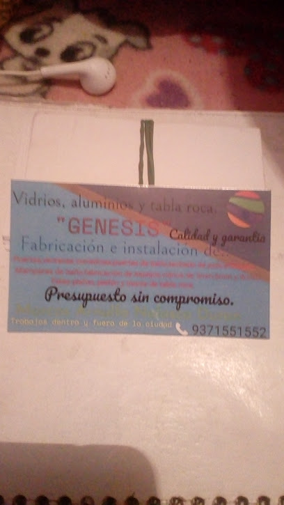 Negocio Vidrios Y Aluminios 